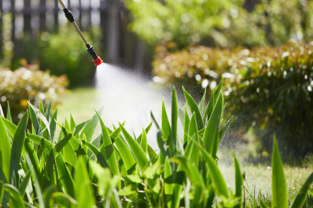 Tamper-Resistant Bait Stations for Rodents in Tavares
