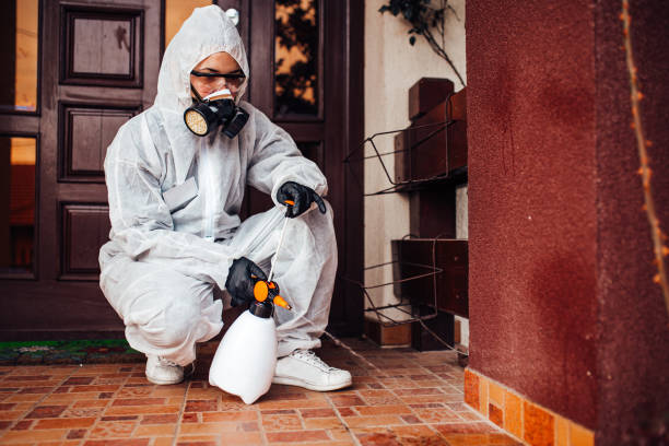 Attic and Crawl Space Rodent Treatment in Tavares